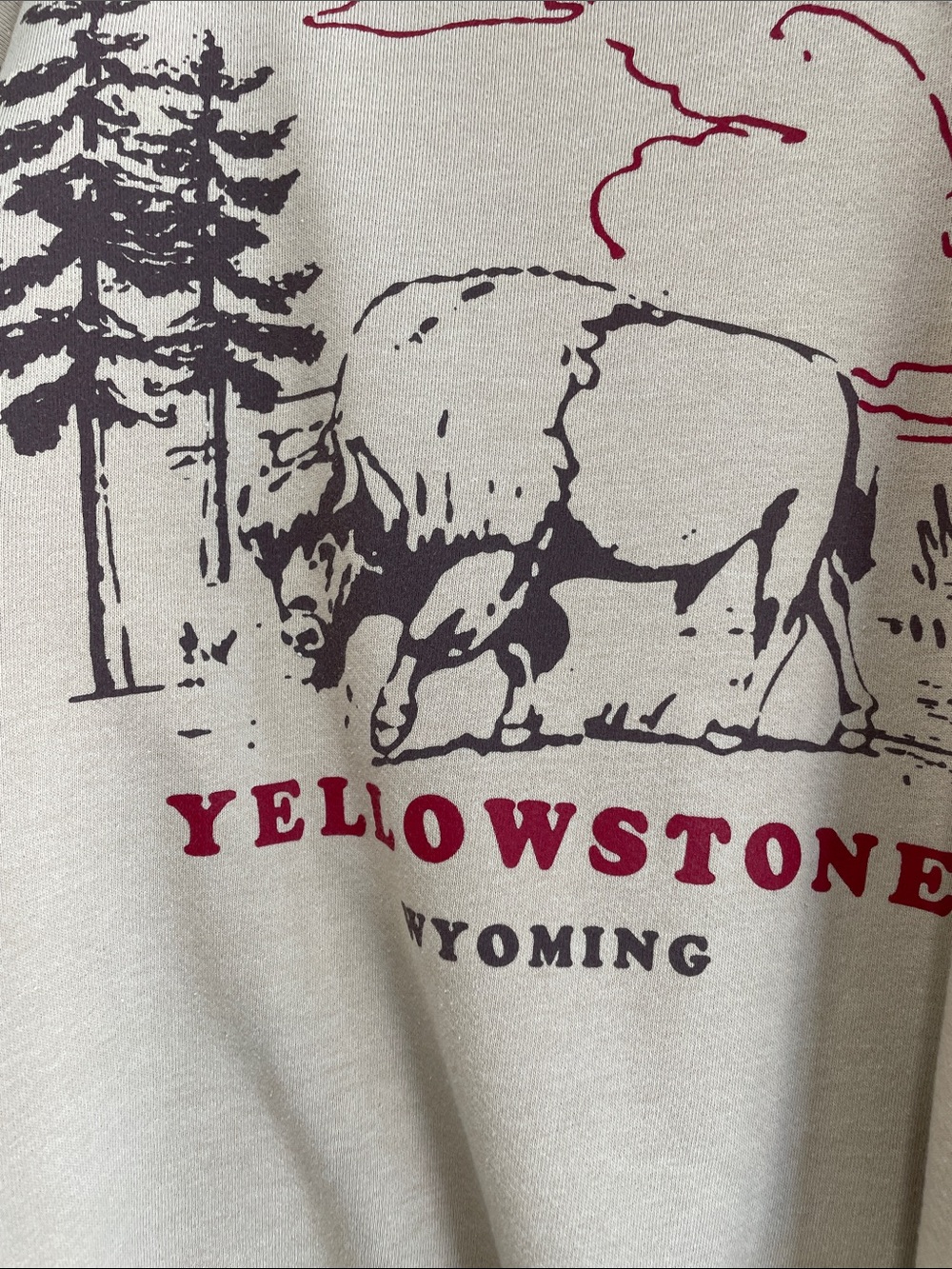 Free People Beige Yellowstone Embellished Crewneck Sweater - Picture 10 of 16